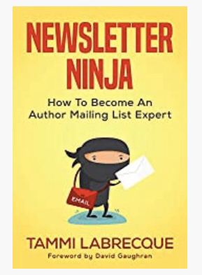 Cover of Tammi Labrecque's Book: Newsletter Ninja